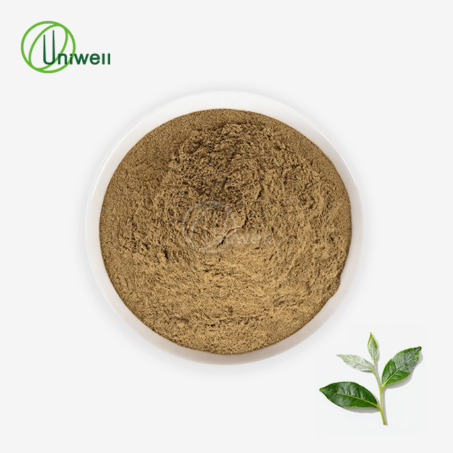 Ampelopsis grossedentata Extract Powder